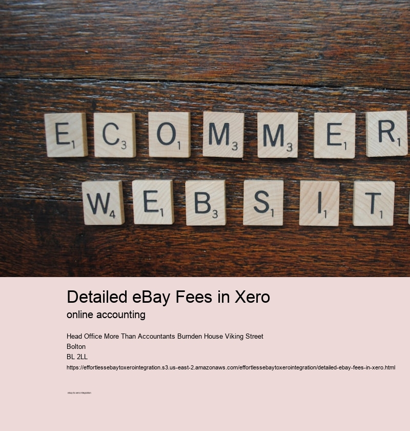 Detailed eBay Fees in Xero