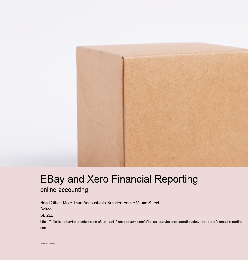 eBay and Xero Financial Reporting