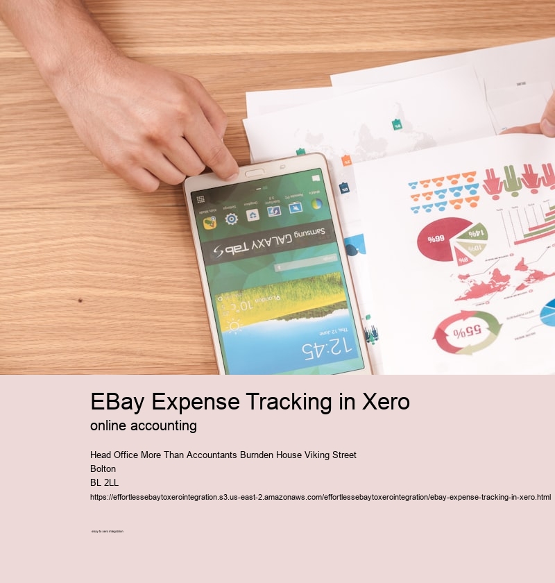 eBay Expense Tracking in Xero