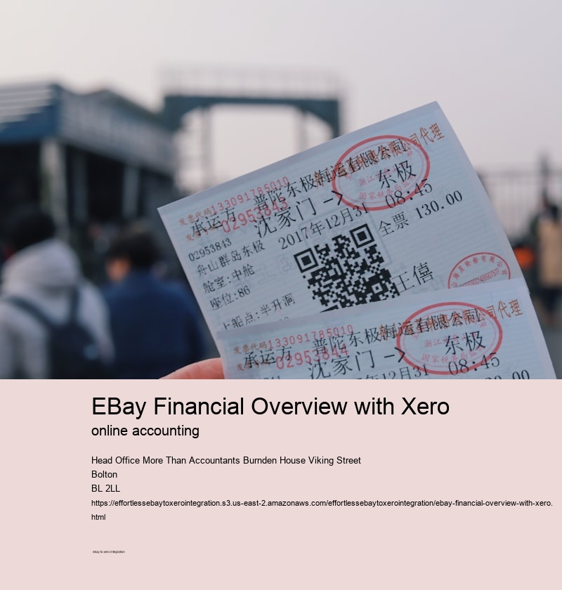 eBay Financial Overview with Xero