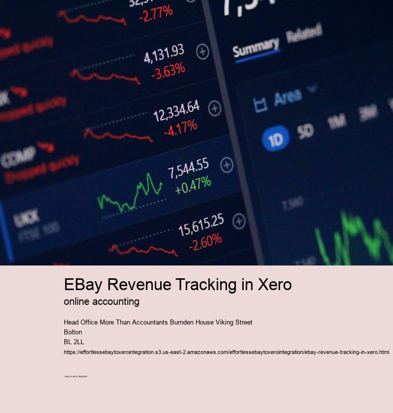 eBay Revenue Tracking in Xero