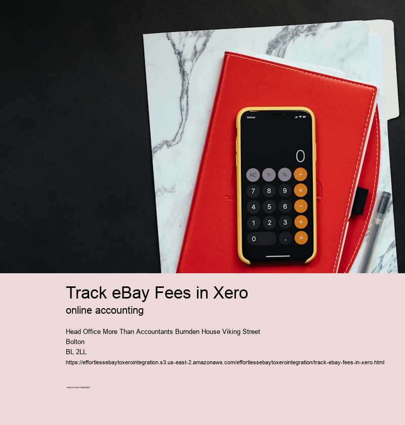 Track eBay Fees in Xero